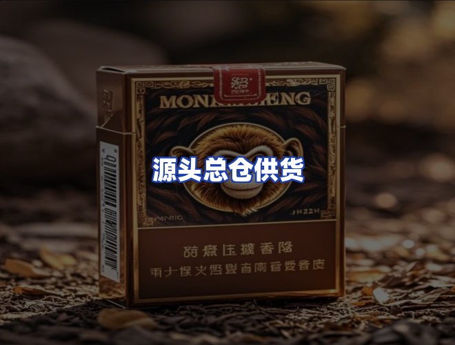 专业团队